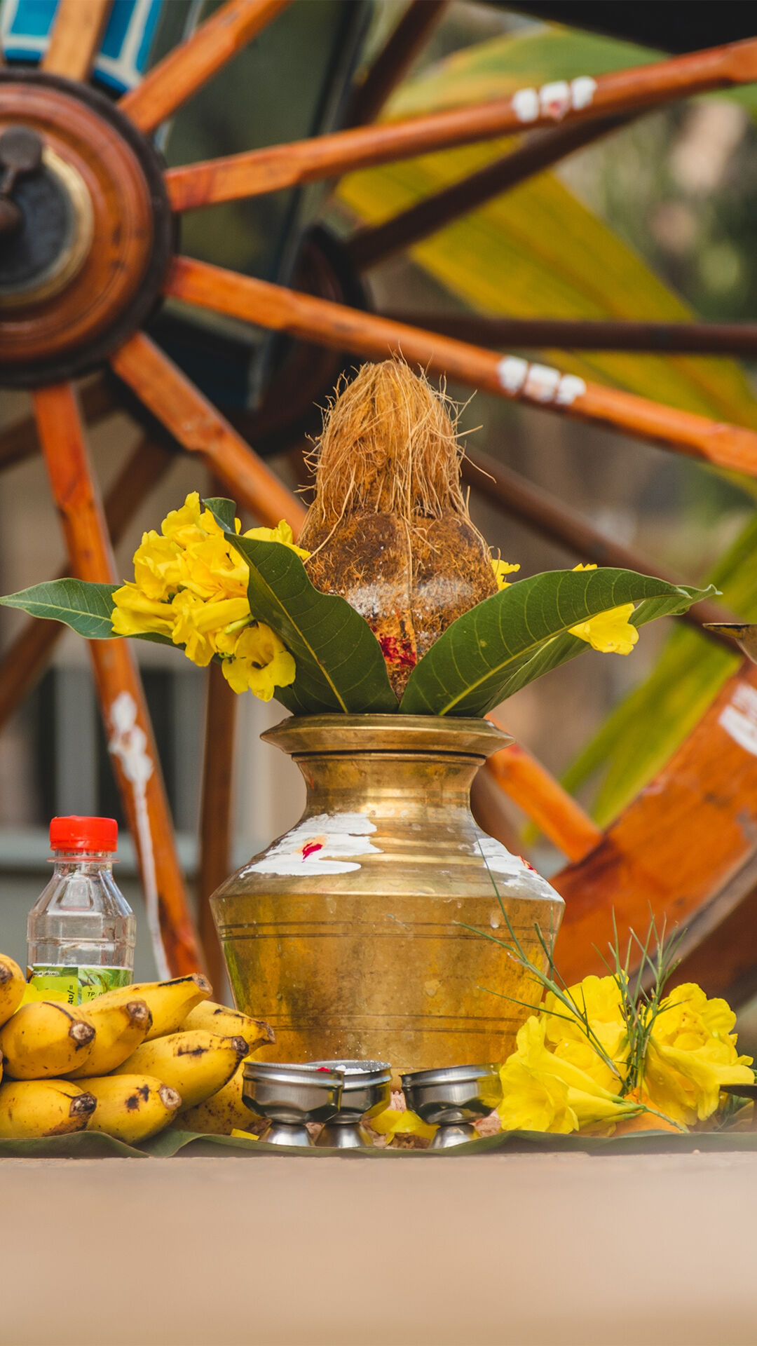 A brass pot and a nariyal in it witjh fruits for pongal ritual 