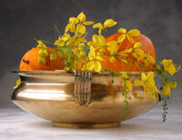 Golden brass bowl with ripe mangoes and yellow Kanikonna (Cassia fistula) flowers, a symbolic Vishu Kani element in Kerala's New Year celebration.
