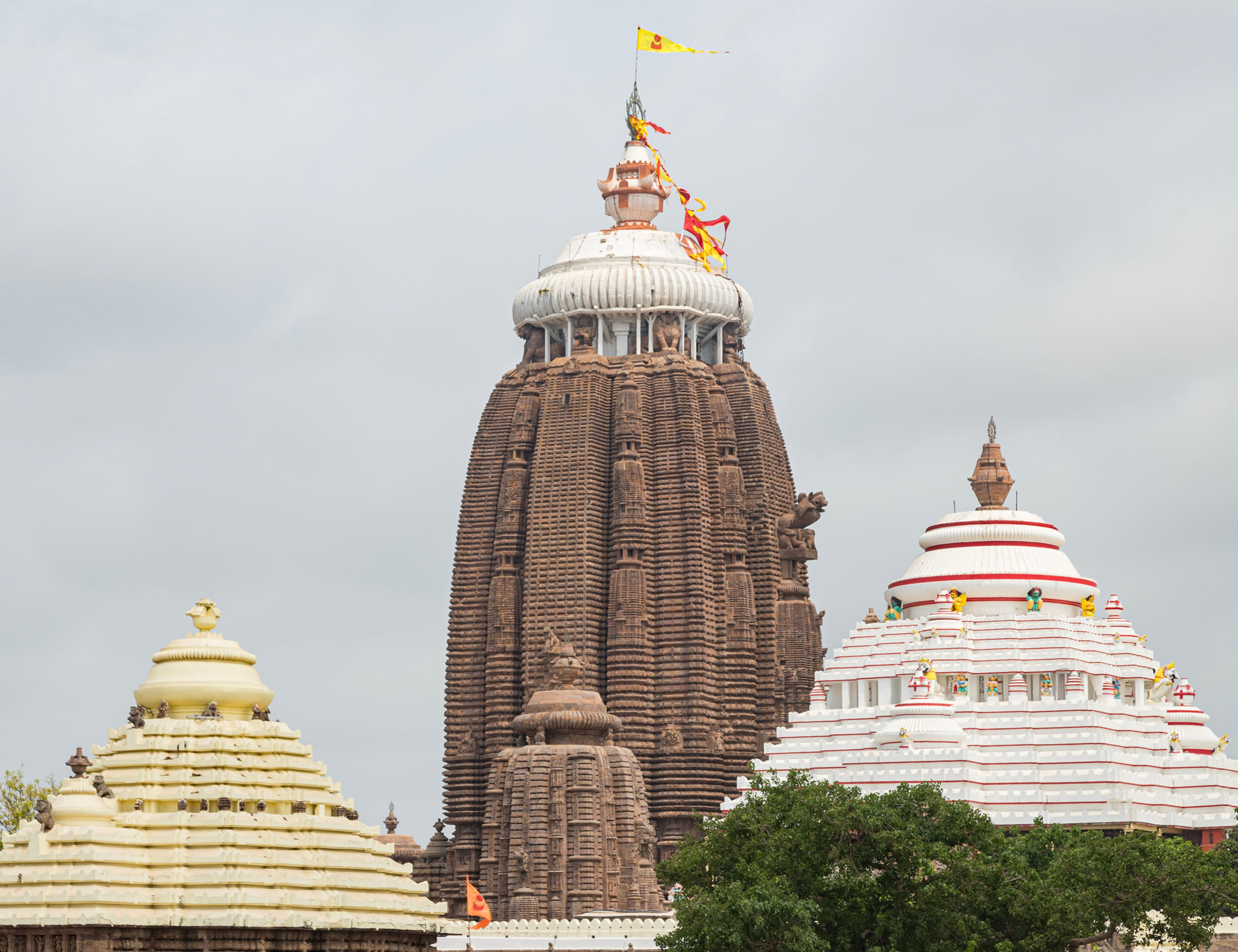 Why Rath Yatra Is Celebrated: Journey of Faith & Joy
