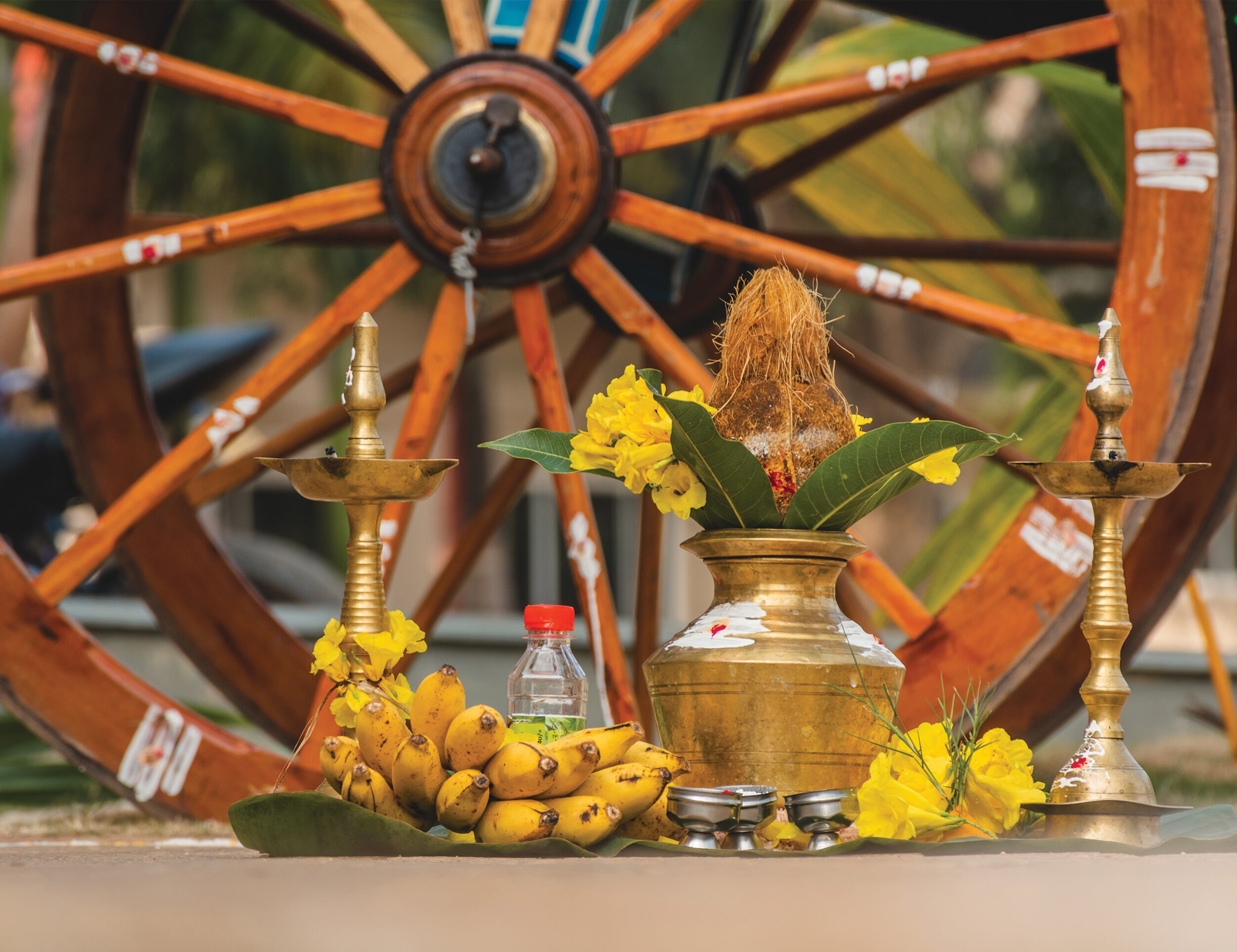 A brass pot with nariytal in and fruits for traditional pongal decor