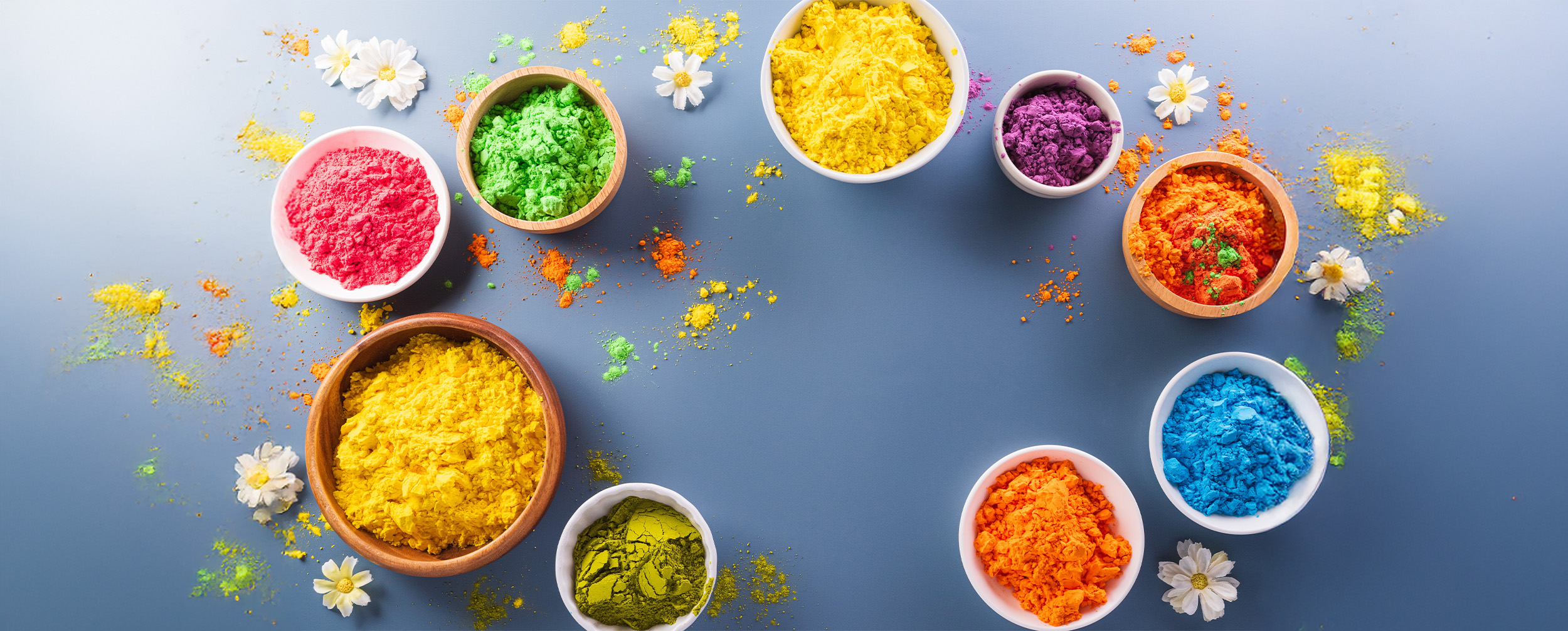 different holi colours in bowl with white flowers for holi celebfration different holi colours in bowl with white flowers for holi celebfration